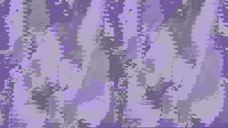 15 Purple Beige 3 GDPR in the health and social care sector
