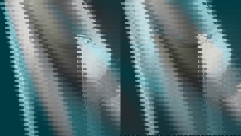 17 Teal Grey Beige A guide to intellectual property law