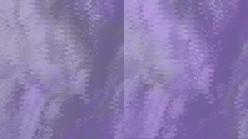 13 Purple Beige 1 Should insurers attend a mediation?