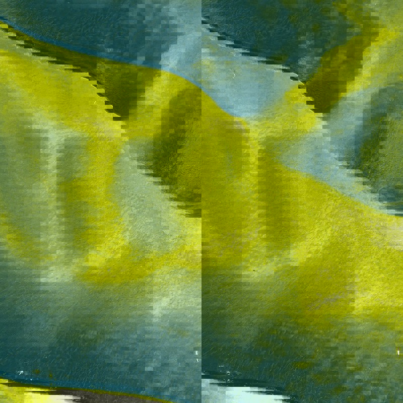 27 Teal Lime Beige 5 Solicitors in Partnership: Three Mistakes that Lawyers make