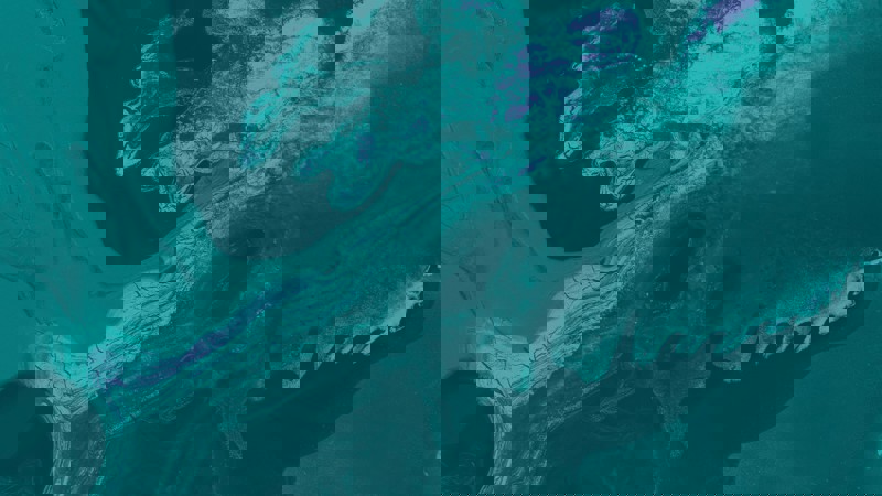 32 Teal Purple Light Teal 2 Release of corporate debt: watch out for hidden tax charges