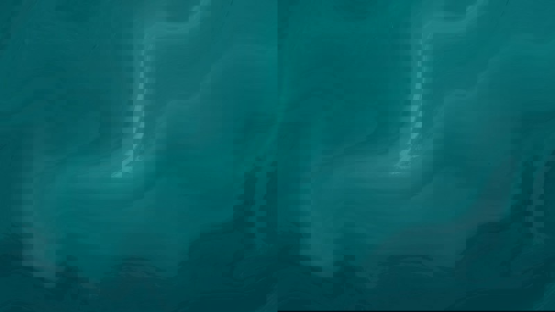 5 Teal Light Teal 2 5 Teal Light Teal 2