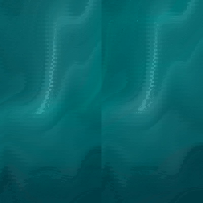 5 Teal Light Teal 2 Avoiding and managing cashflow risks