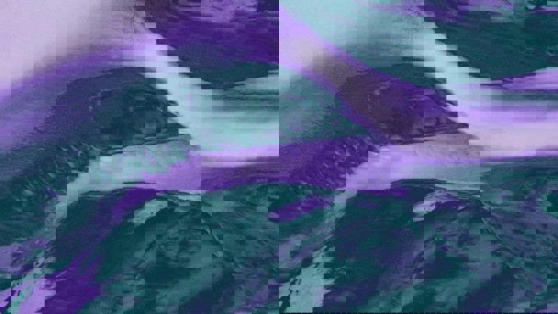 22 Teal Purple Beige 4 22 Teal Purple Beige 4