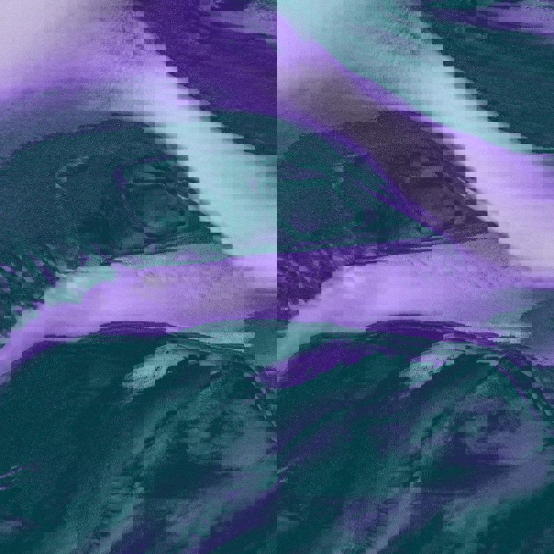 22 Teal Purple Beige 4 LBTT and leases